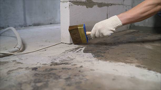 24/7 Emergency Wet Basement Repair experts in Leroy, MI